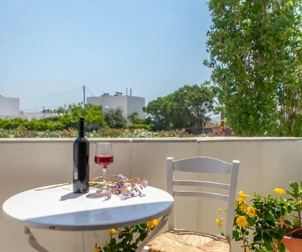 Semesterbostad Apanemi Beachhouse Naxos City