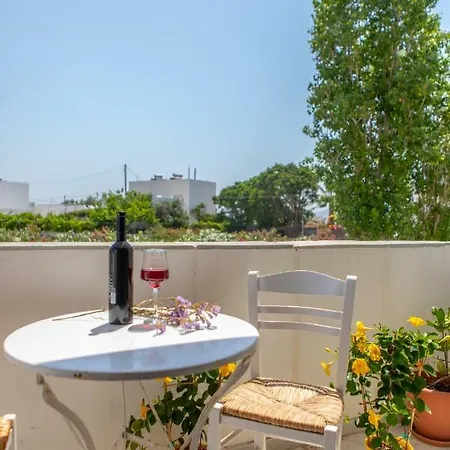 펜션 Apanemi Beachhouse Naxos City